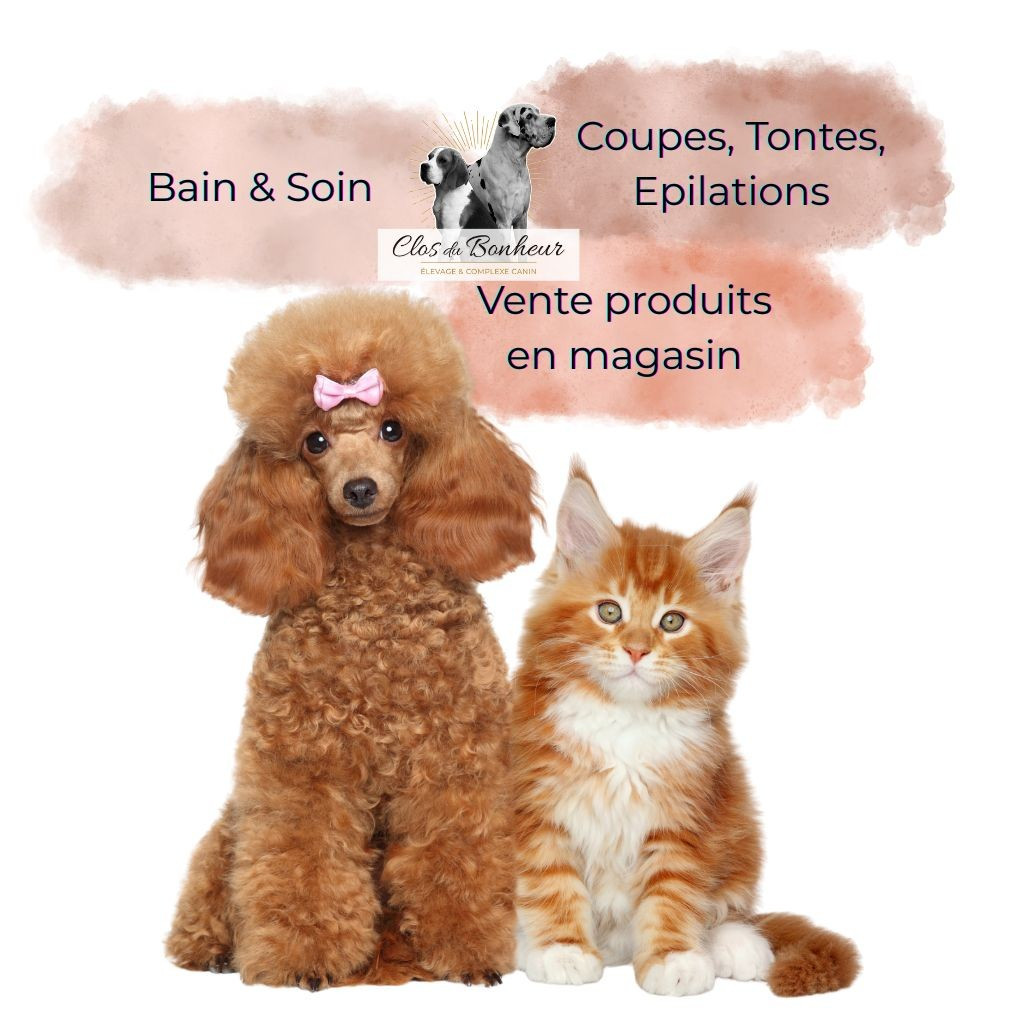 Notre salon de toilettage vous accueille !