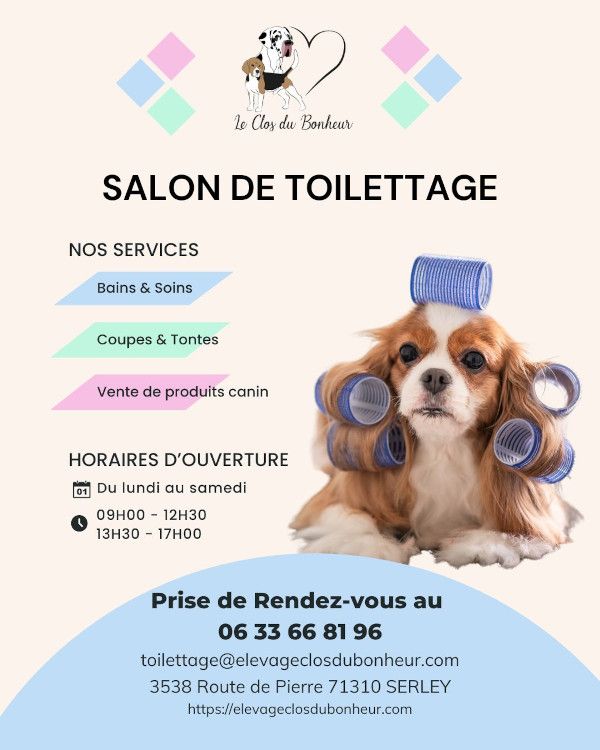 Notre salon de toilettage vous accueille !